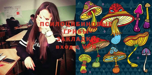 соль ск Белокуриха
