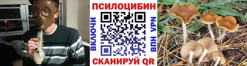 Галлюциногенные грибы Psilocybine cubensis  купить наркотики цена  Николаевск 